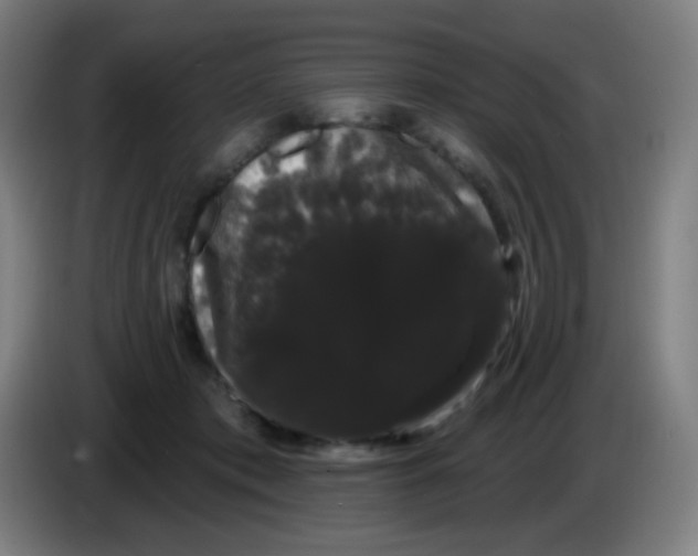 X0000085220413200703301707