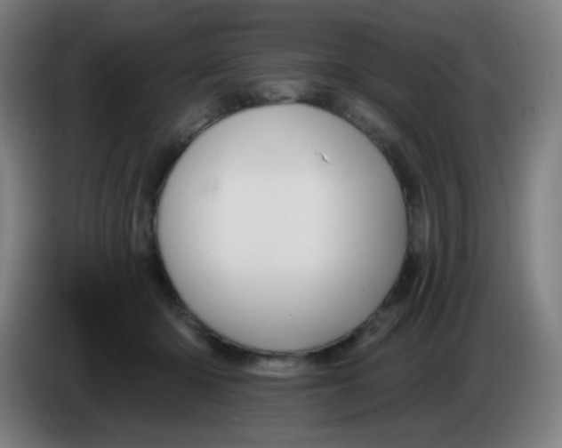 X0000085220414200703301707