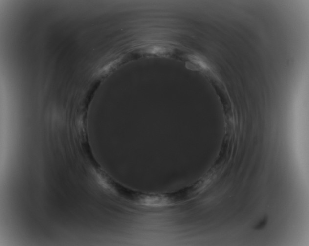 X0000085220415200703301707