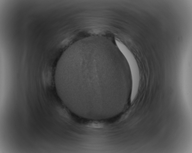 X0000085220416200703301707