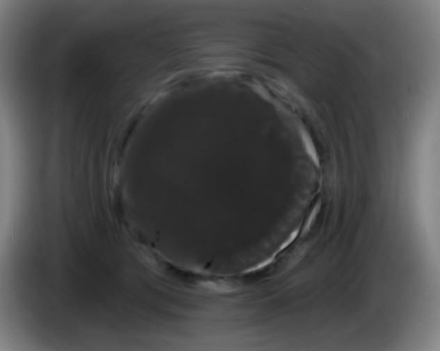 X0000085220417200703301707