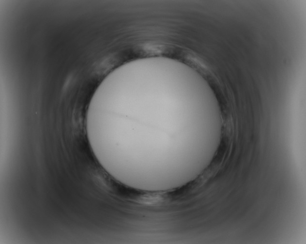X0000085220418200703301707