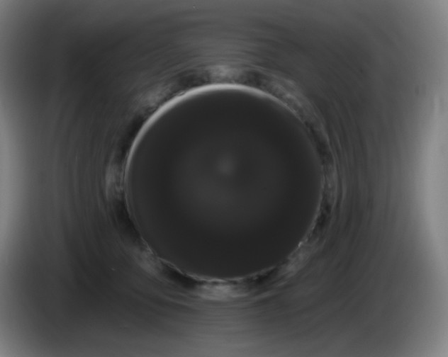 X0000085220419200703301707