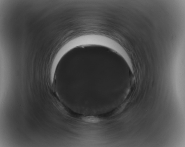 X0000085220421200703301707