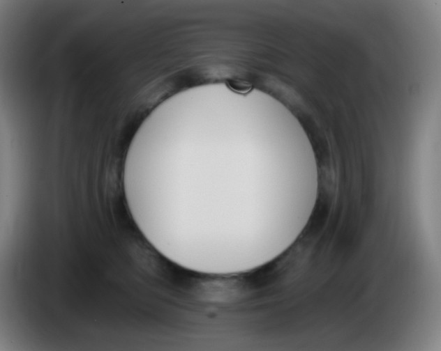 X0000085220422200703301707