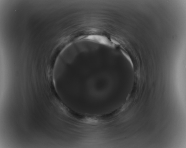 X0000085220423200703301707