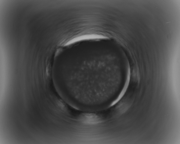 X0000085220424200703301707