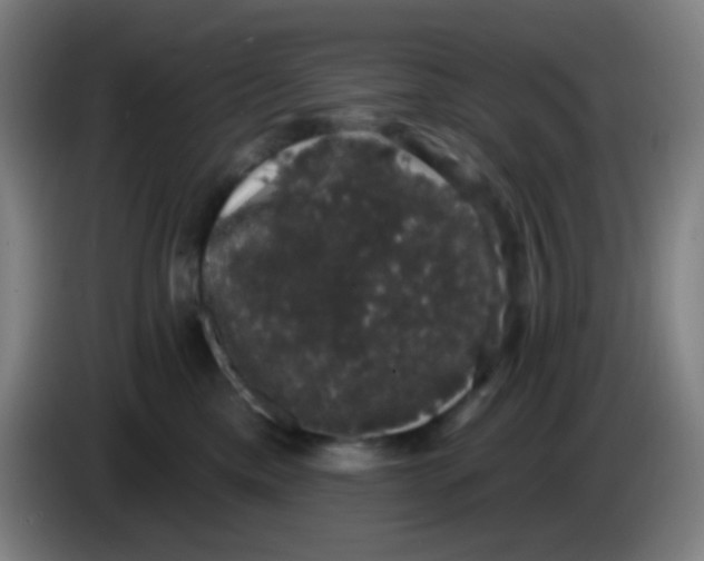 X0000085220425200703301707