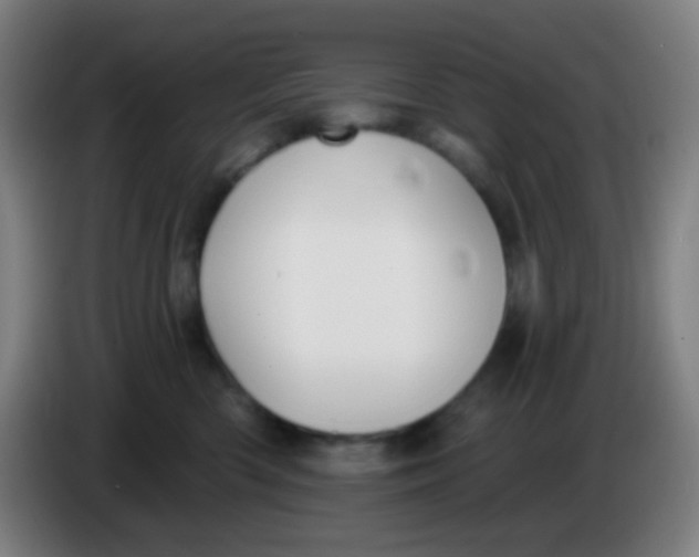 X0000085220426200703301707