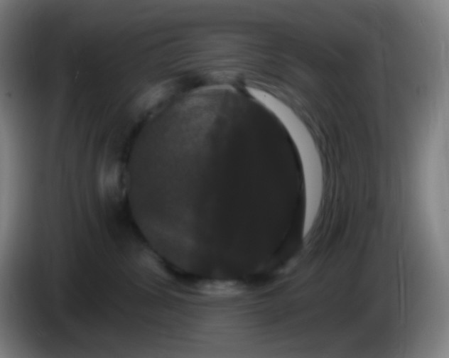 X0000085220428200703301707