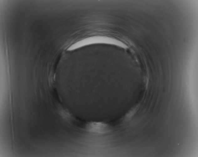 X0000085220429200703301707