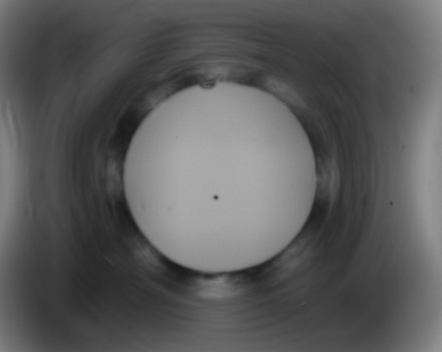 X0000085220430200703301707