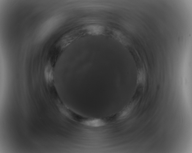 X0000085220431200703301707