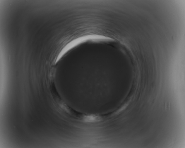 X0000085220432200703301707