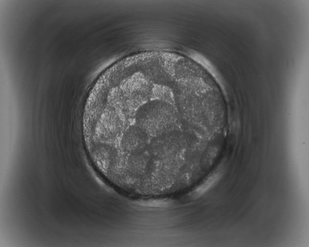 X0000085220433200703301707