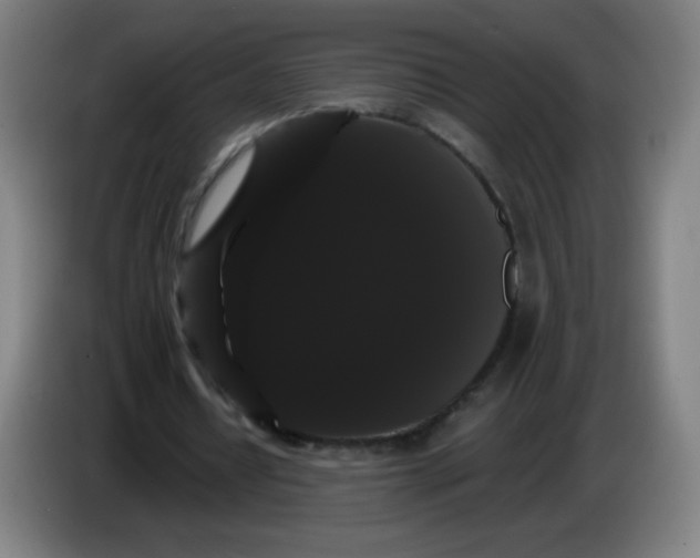 X0000085220434200703301707