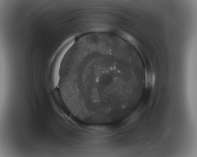 X0000085220435200703301707