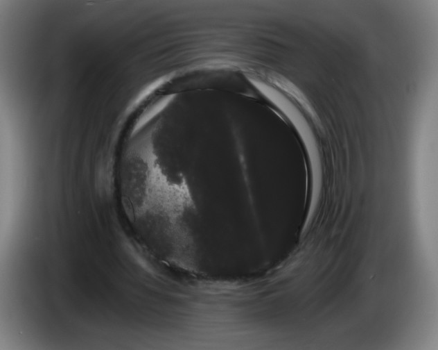 X0000085220436200703301707