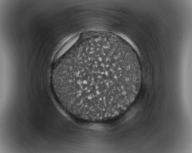 X0000085220437200703301707