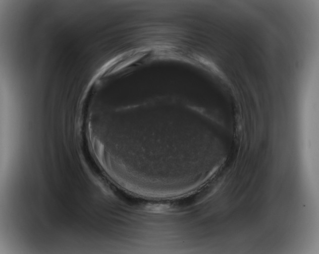 X0000085220440200703301707