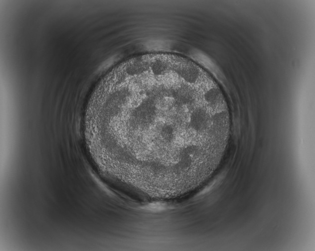 X0000085220441200703301707