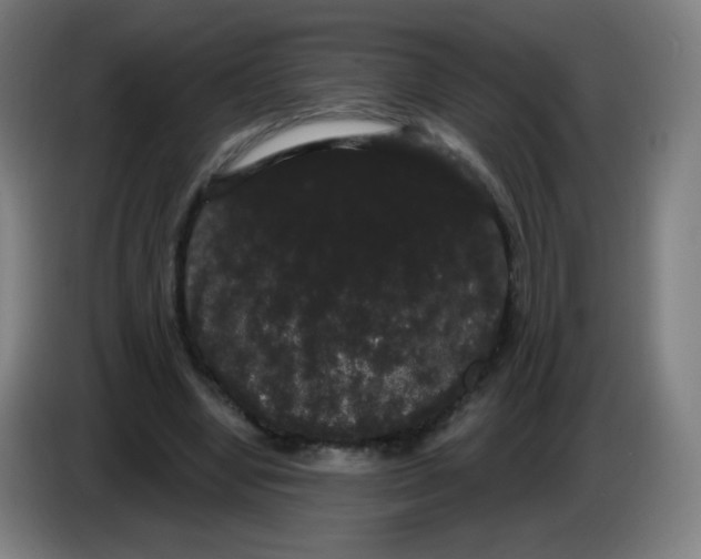 X0000085220442200703301707