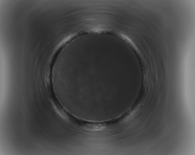 X0000085220443200703301707