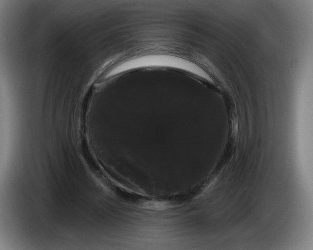 X0000085220444200703301707