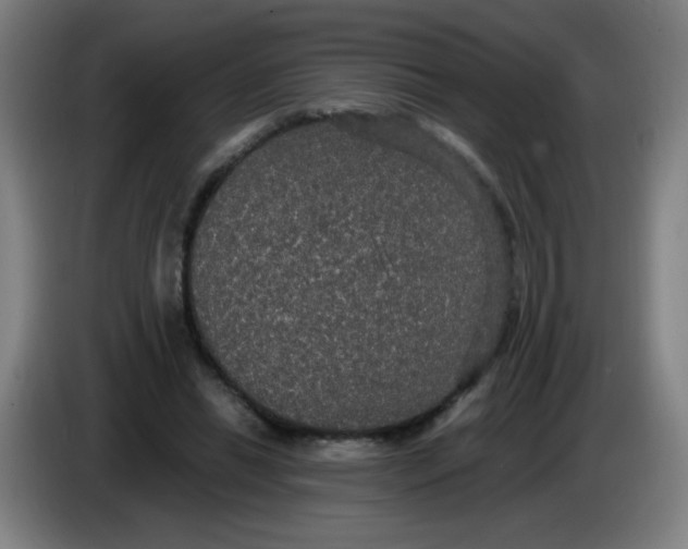X0000085220446200703301707