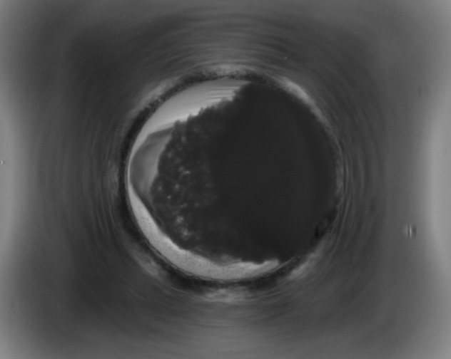 X0000085220447200703301707