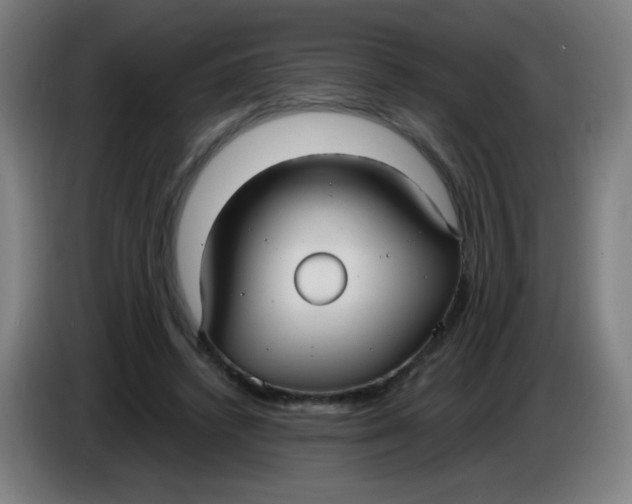 X0000085220448200703301707