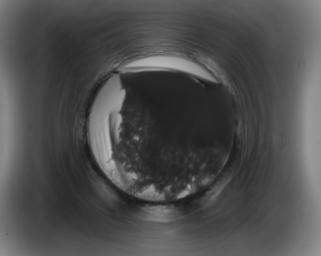 X0000085220449200703301707
