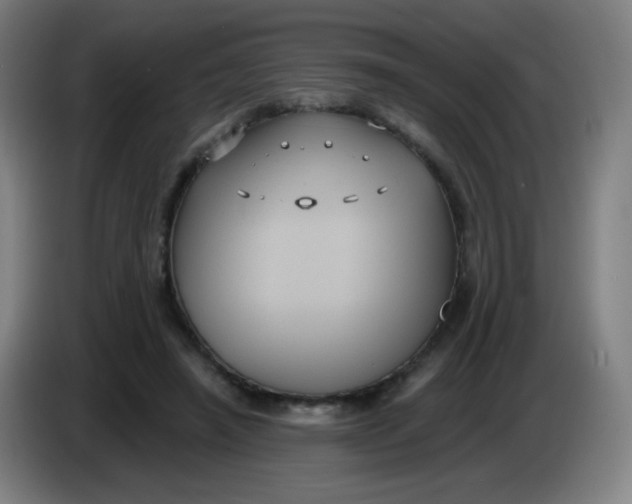 X0000085220450200703301707