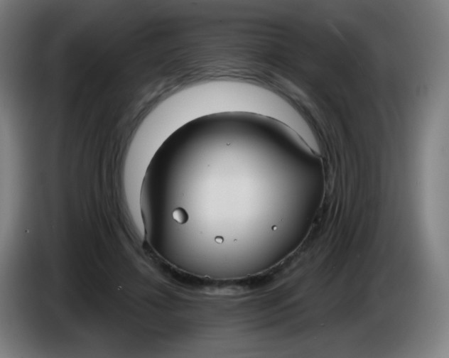 X0000085220452200703301707