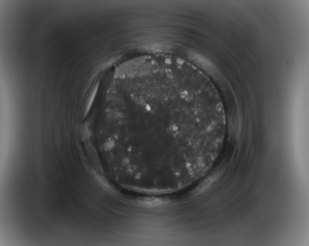 X0000085220453200703301707
