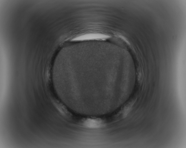 X0000085220455200703301707