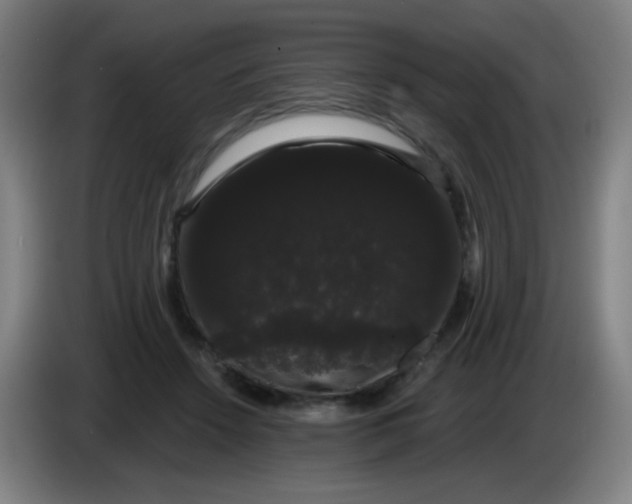 X0000085220456200703301707