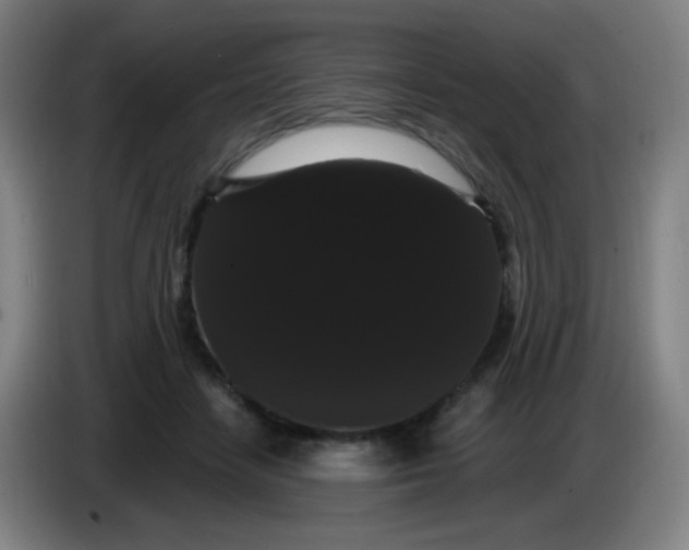 X0000085220458200703301707