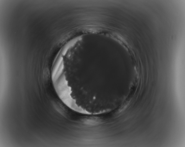 X0000085220459200703301707