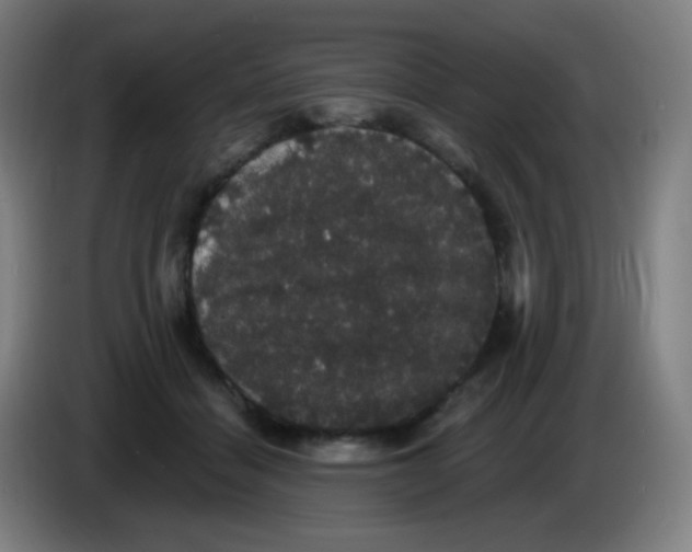 X0000085220460200703301707