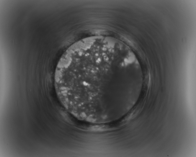 X0000085220461200703301707