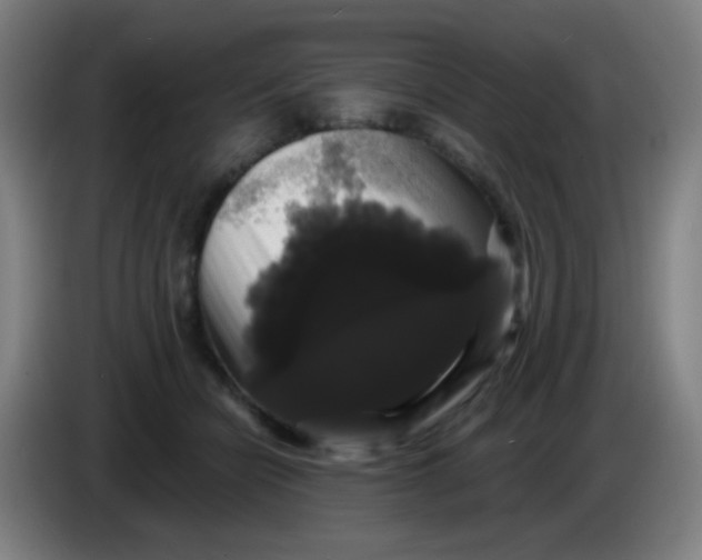 X0000085220462200703301707