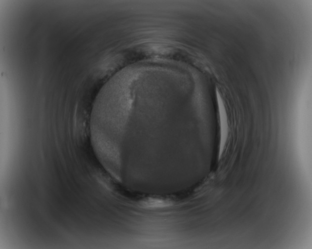 X0000085220464200703301707