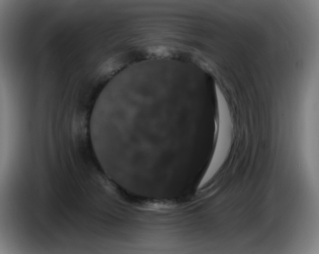 X0000085220466200703301707