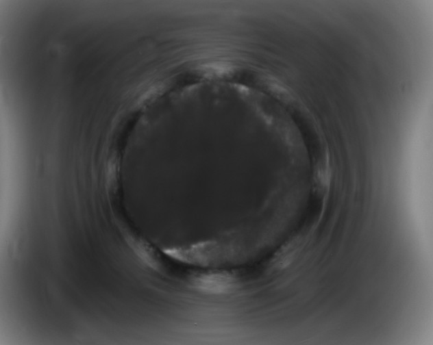 X0000085220468200703301707