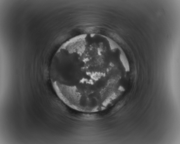 X0000085220469200703301707