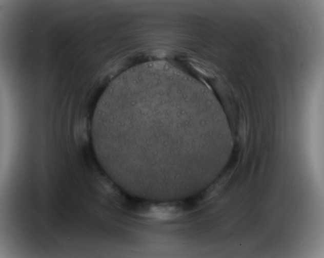 X0000085220470200703301707