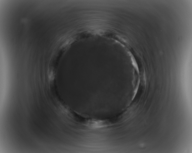 X0000085220472200703301707
