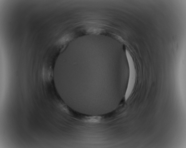 X0000085220474200703301707
