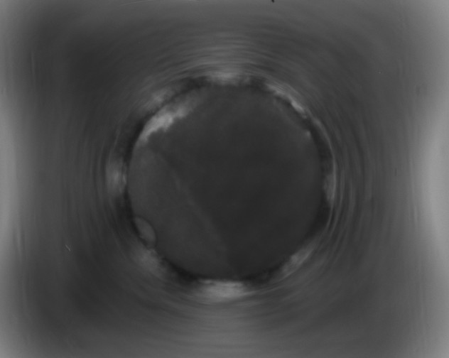 X0000085220476200703301707